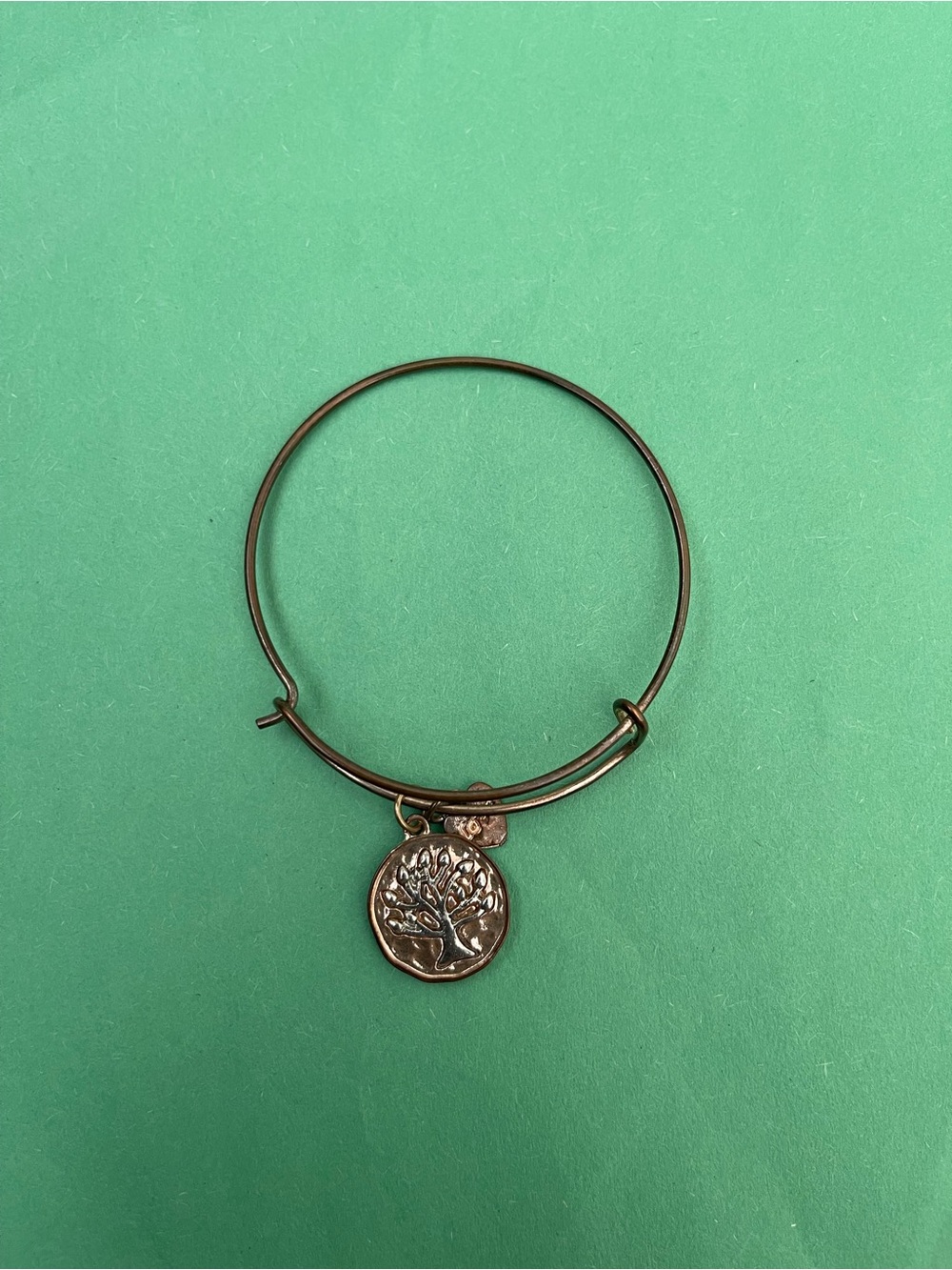 Alex and Ani Bracelet